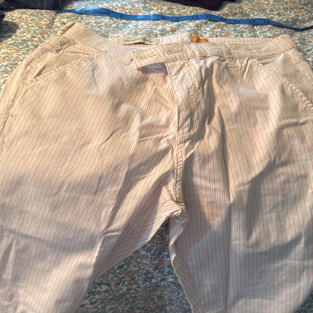 Anthropology Striped Pants with Button Detail